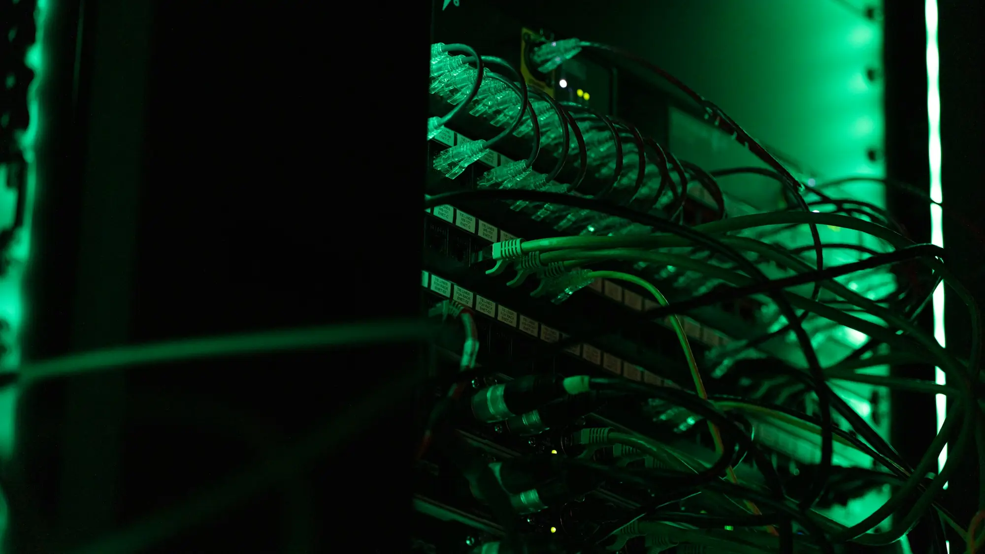Cables de red en un rack de servidores